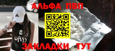 шишки Гай