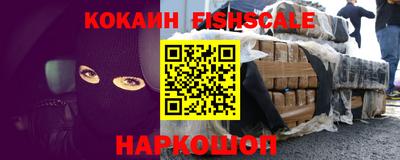 шишки Гай