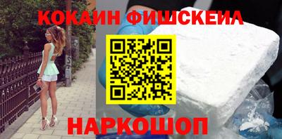 дмт Гатчина