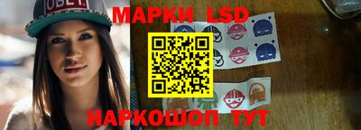 дмт Гатчина