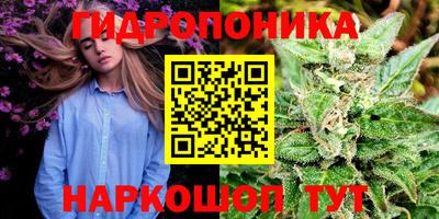 дмт Гатчина