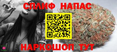 дмт Гатчина