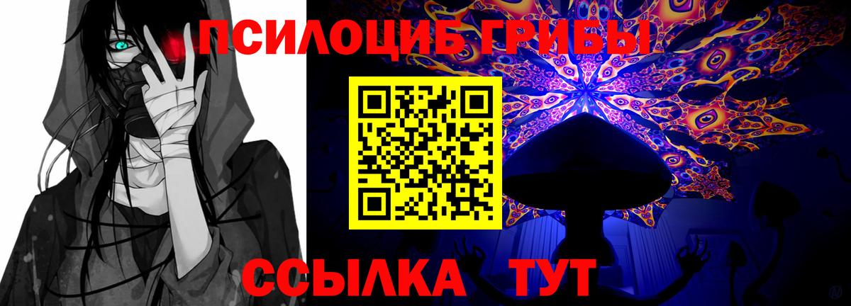 Новокубанск  Псилоцибиновые грибы GOLDEN TEACHER  Псилоцибиновые грибы Magic Shrooms  Вход с VPN 